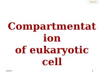 Compartments of eukaryotic cell.pptx