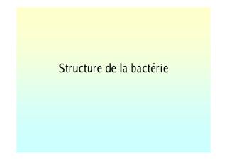 structure_bacterie.pdf