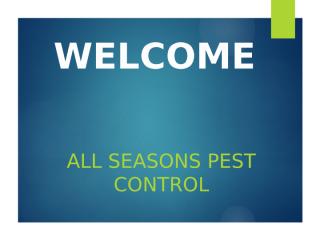 All Seasons Pest Control.pptx